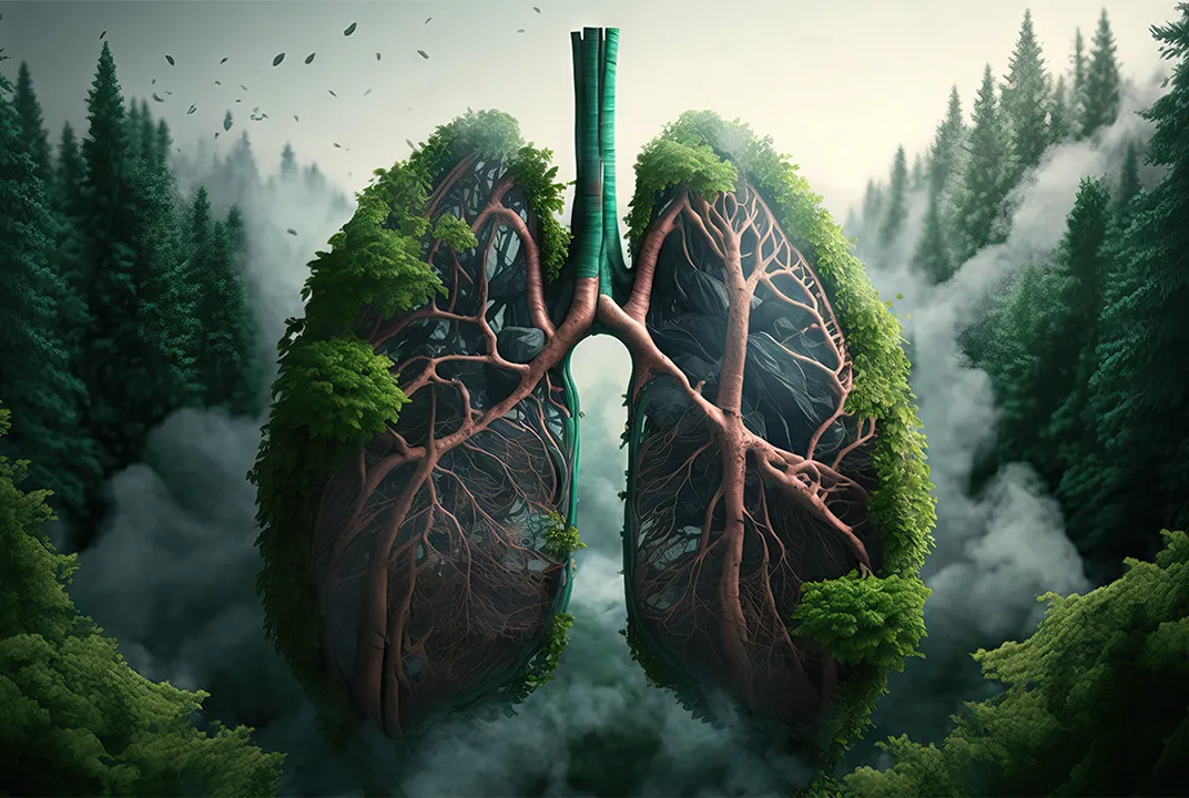 Impact of Global Warming on our Nasal & Respiratory Health